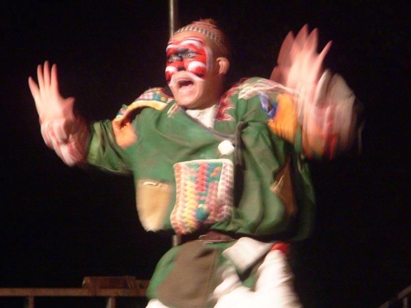 Arlecchino Errante